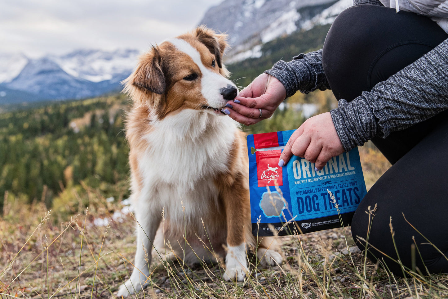 Acana Singles Freeze-Dried Dog Treats Beef & Pumpkin