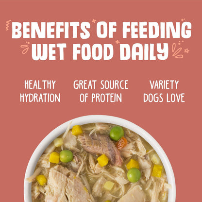 Weruva Jammin' Salmon For Dogs 12 Pack