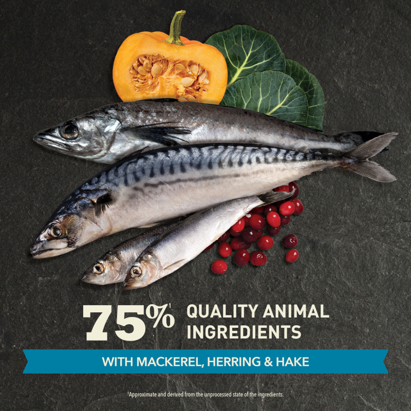 Acana Highest Protein Cat Pacifica