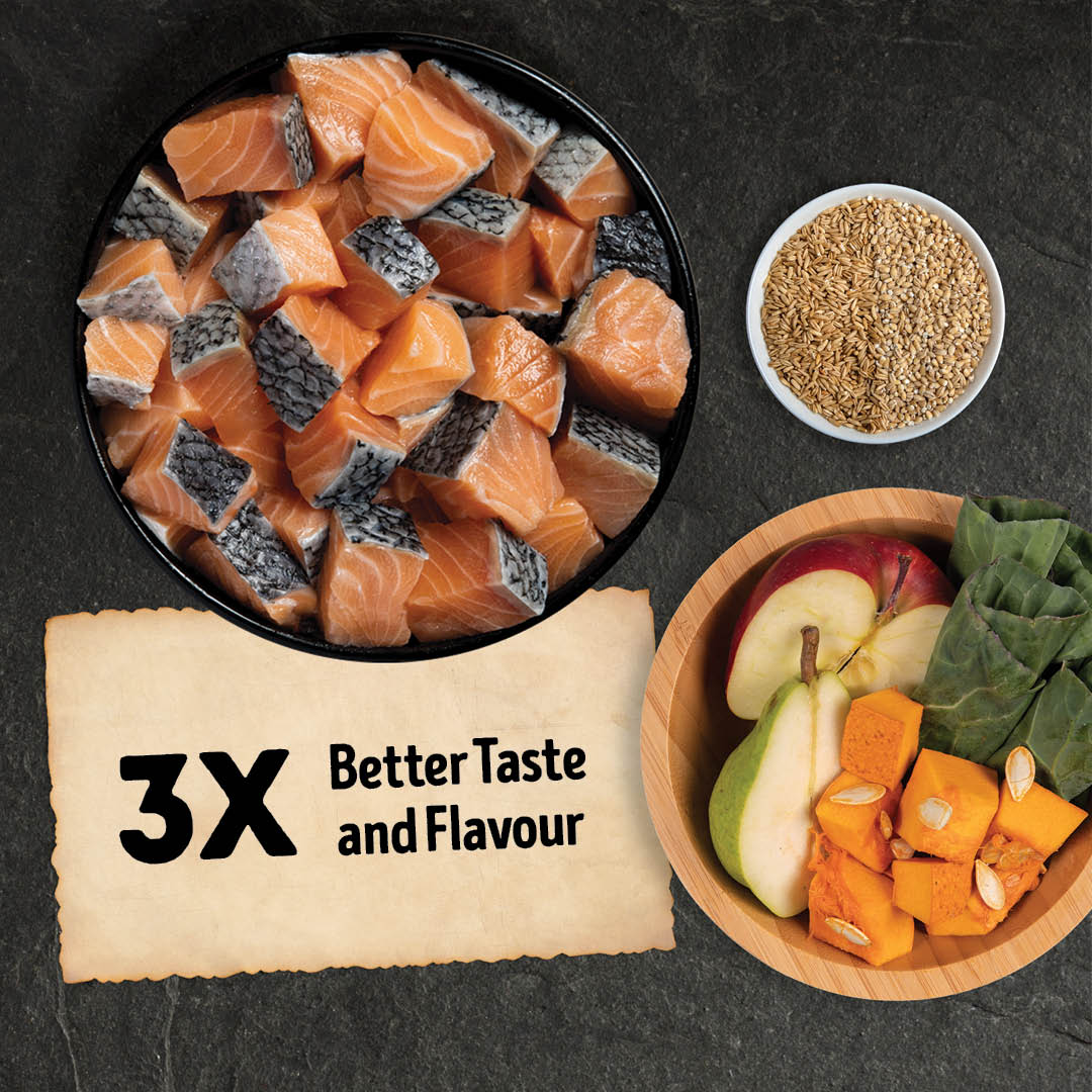 Acana Wild coast Dog Recipe