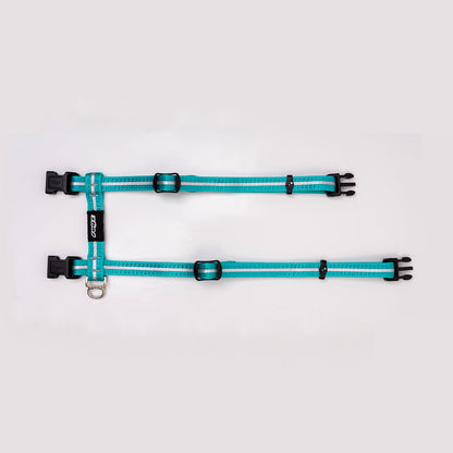 Alleycat Control harness and lead