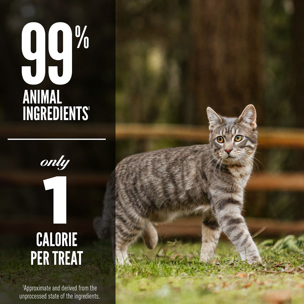 Orijen Six Fish Freeze-dried Cat Treats