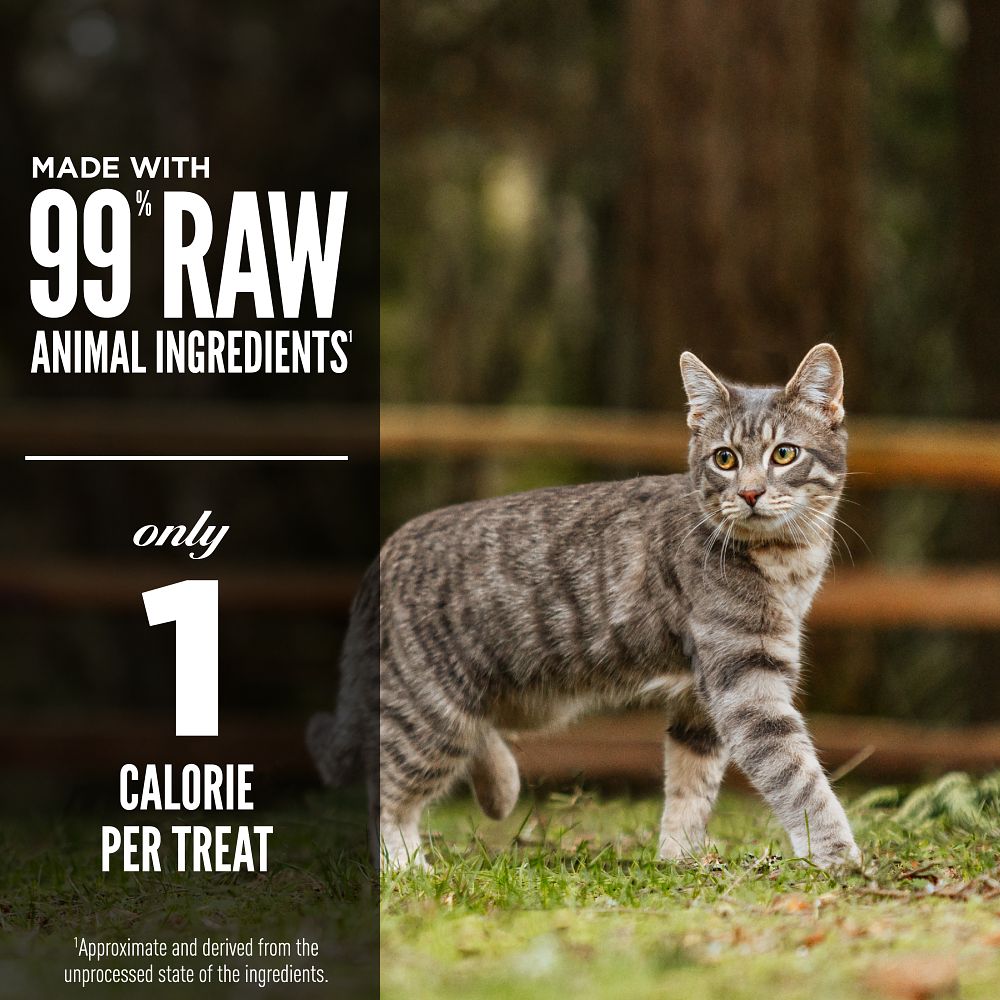 Orijen Original Freeze-dried Cat Treats