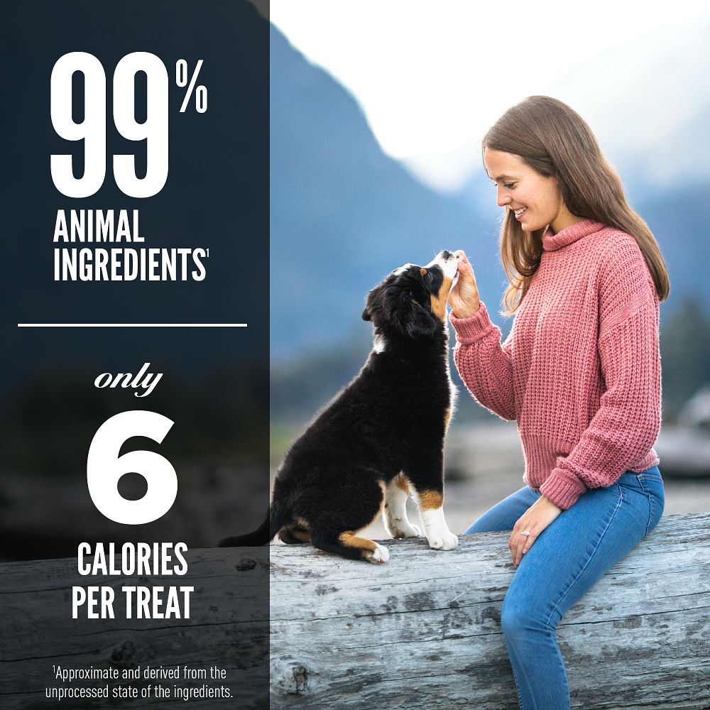 Orijen Grass Fed Lamb Freeze Dried Dog Treats