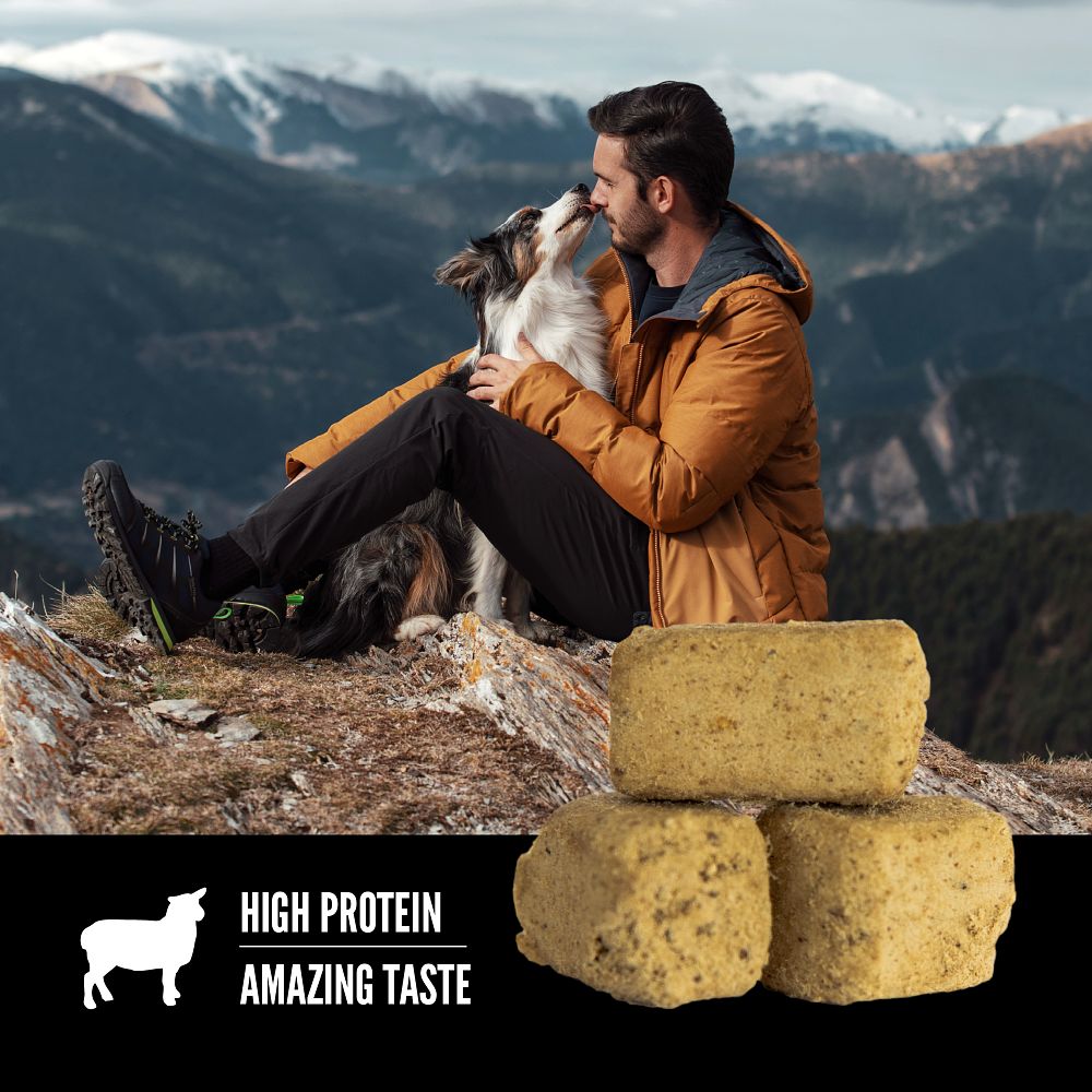 Orijen Grass Fed Lamb Freeze Dried Dog Treats