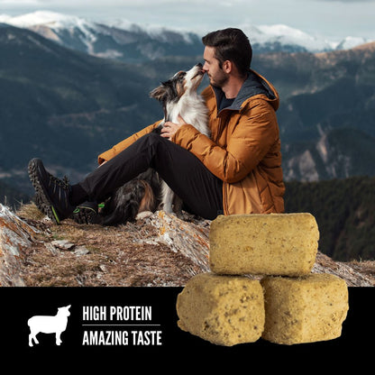 Orijen Grass Fed Lamb Freeze Dried Dog Treats