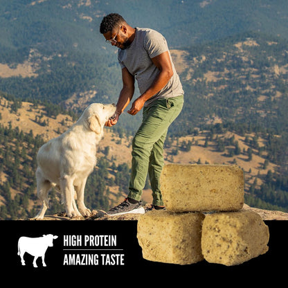 Orijen Original Freeze Dried Dog Treats