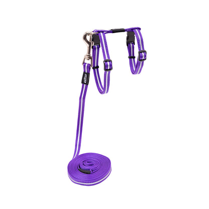 Alleycat Control harness and lead