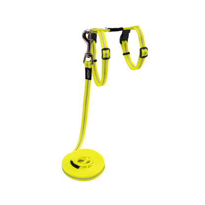 Alleycat Control harness and lead