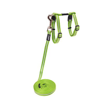 Alleycat Control harness and lead