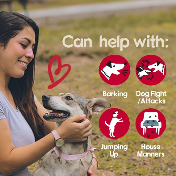 Company Of Animals - Pet Corrector Spray