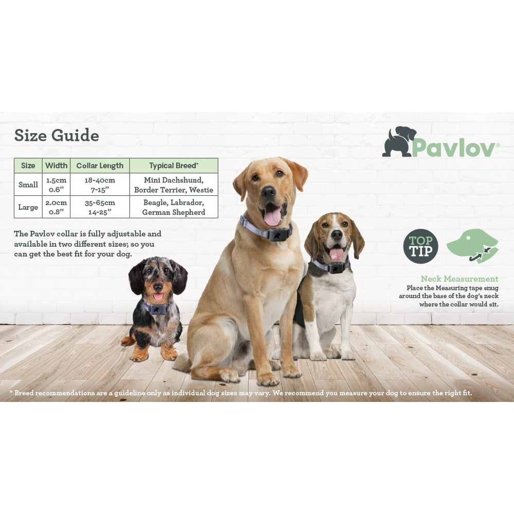 Company Of Animals - Pavlov Digital No Bark Collar