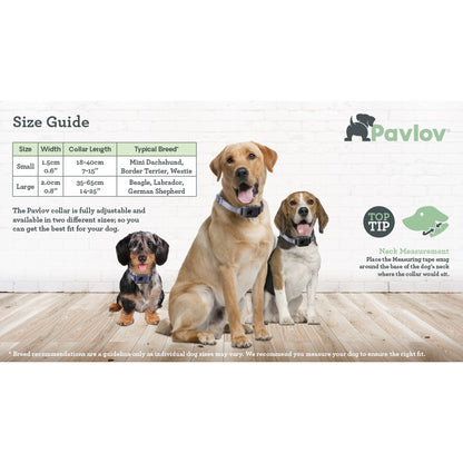 Company Of Animals - Pavlov Digital No Bark Collar