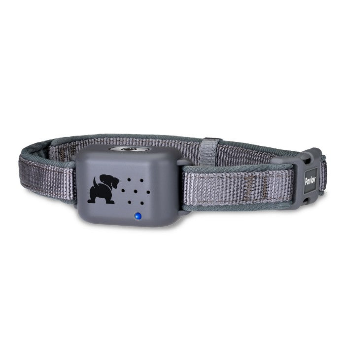Company Of Animals - Pavlov Digital No Bark Collar
