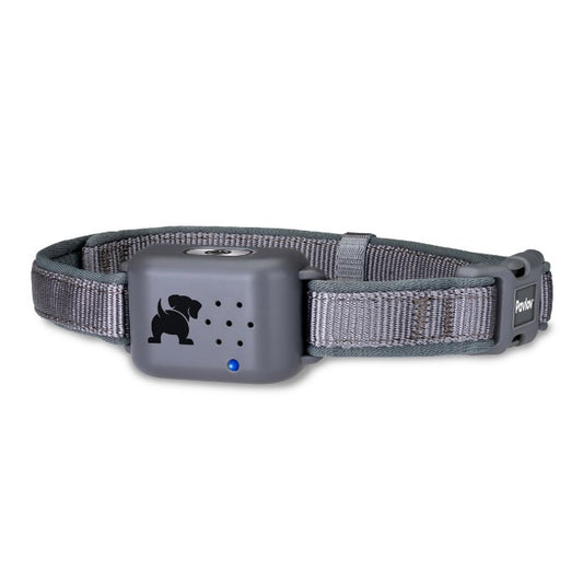 Company Of Animals - Pavlov Digital No Bark Collar