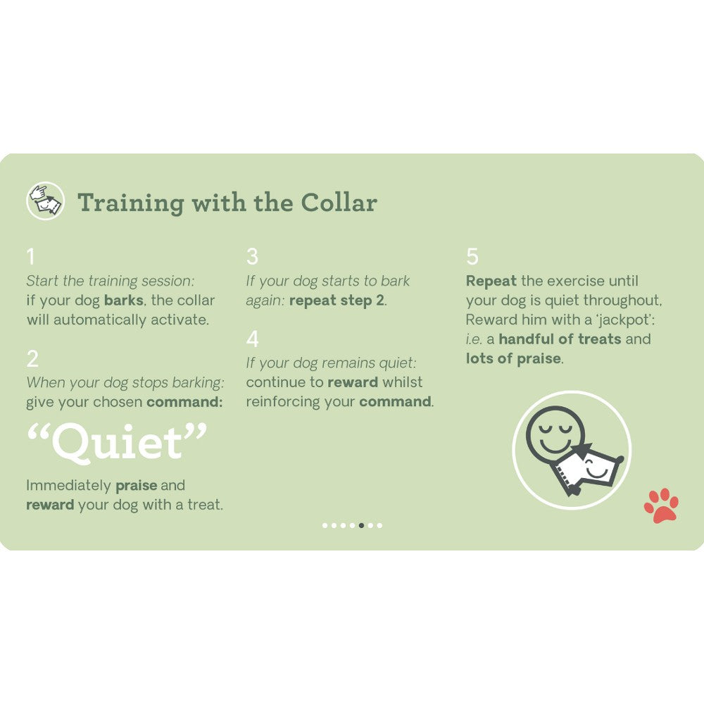 Company Of Animals - Pavlov Digital No Bark Collar
