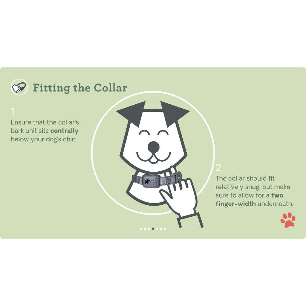 Company Of Animals - Pavlov Digital No Bark Collar