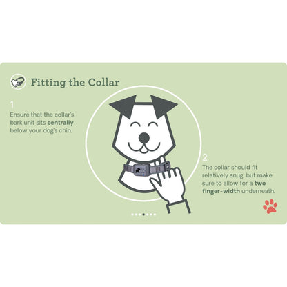 Company Of Animals - Pavlov Digital No Bark Collar