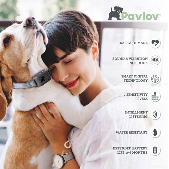 Company Of Animals - Pavlov Digital No Bark Collar