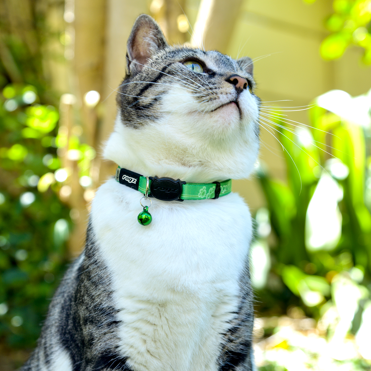 Rogz Kiddy Cat Safety collar