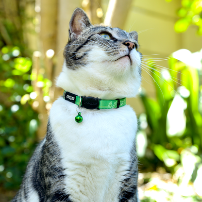 Rogz Kiddy Cat Safety collar