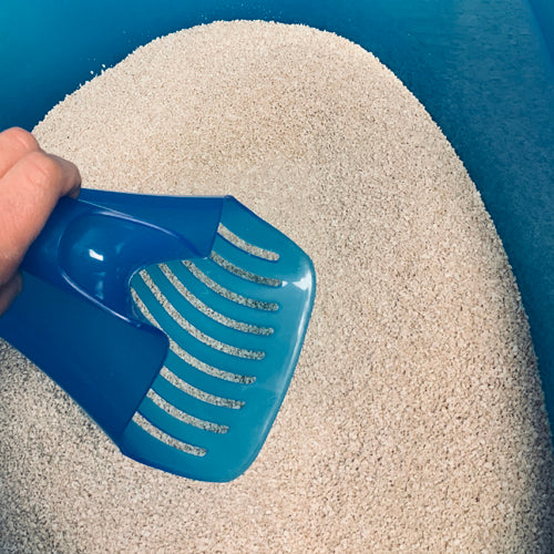 SmartCat Big Mouth Scoop Blue
