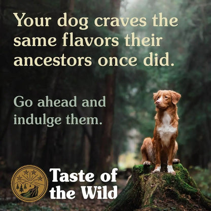 Taste of the Wild Canine High Prairie Puppy Formula – Bison & Roasted Venison