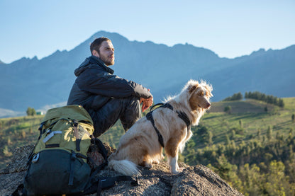 Rogz Utility Explore Harness