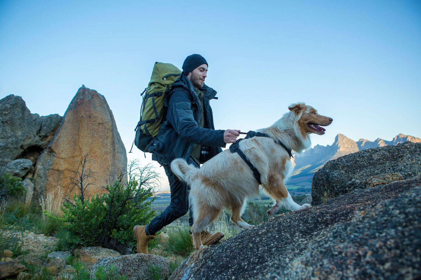 Rogz Utility Explore Harness