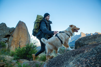 Rogz Utility Explore Harness