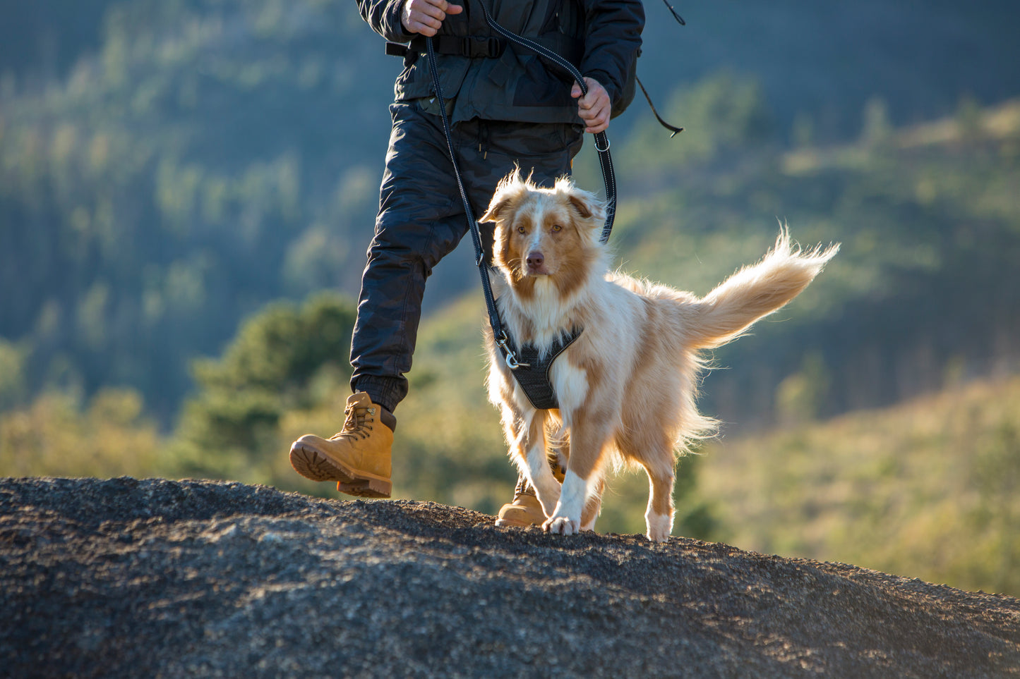 Rogz Utility Explore Harness
