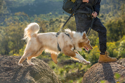 Rogz Utility Explore Harness