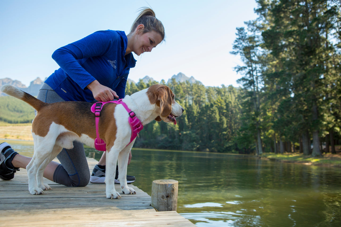 Rogz Utility Explore Harness